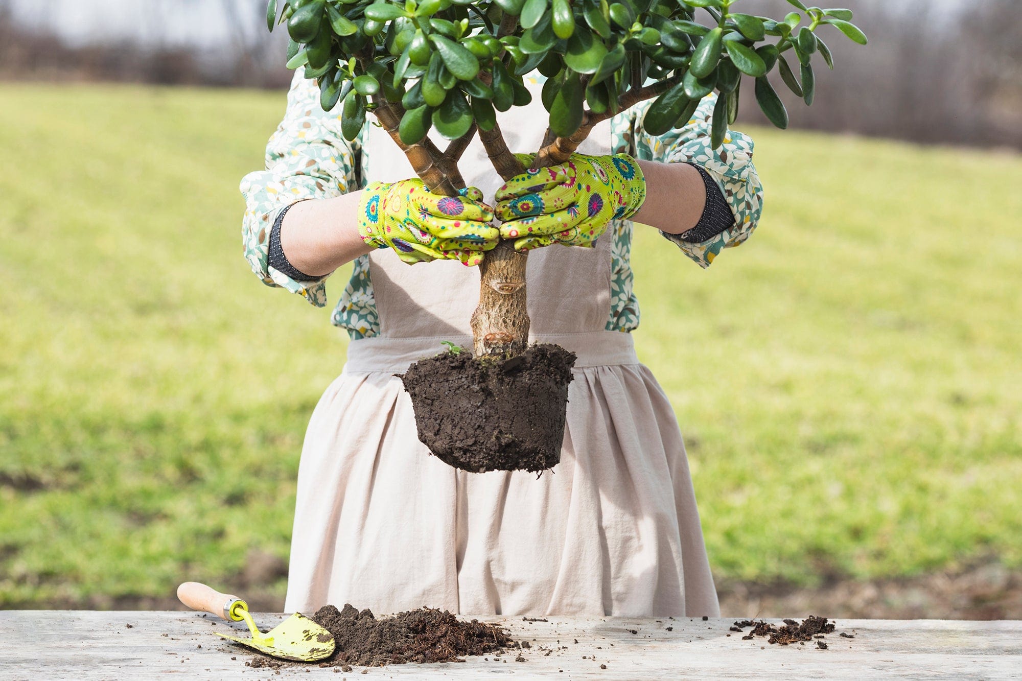 Planting to protect environment